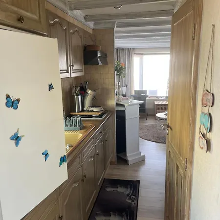 Kamp alanı Caravane Het Zeepaardje De Haan