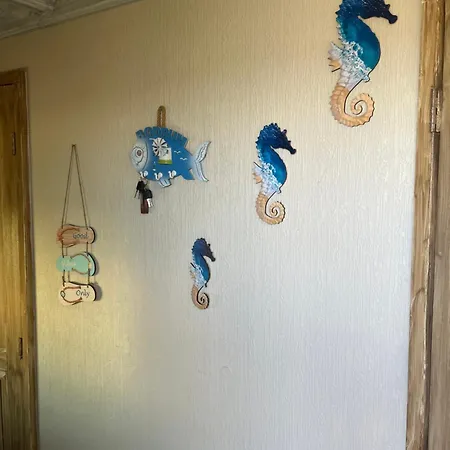 Caravane Het Zeepaardje Kemping