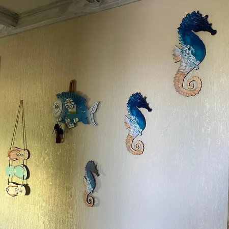 Caravane Het Zeepaardje *